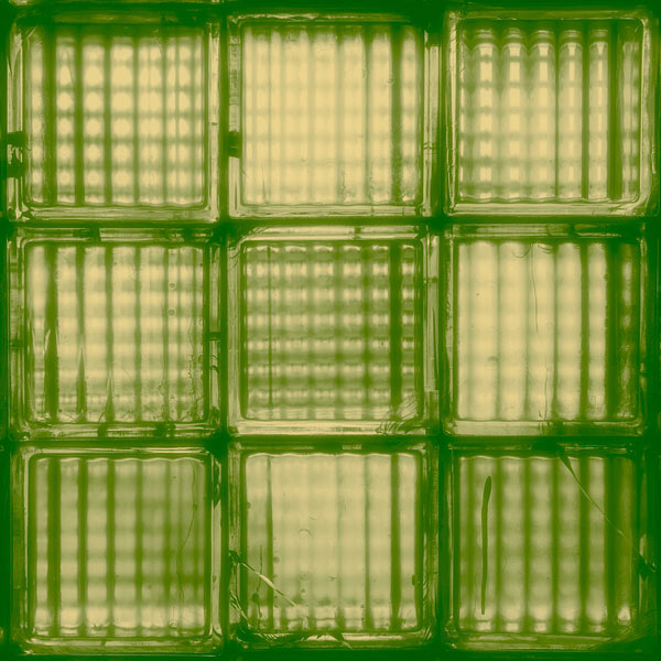 River Valley Worship Releases New Album, 'First Light / Last Word,' Today