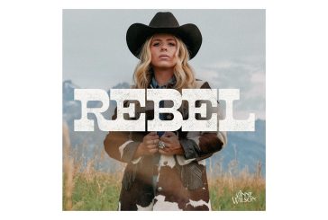 Anne Wilson Announces New Book •